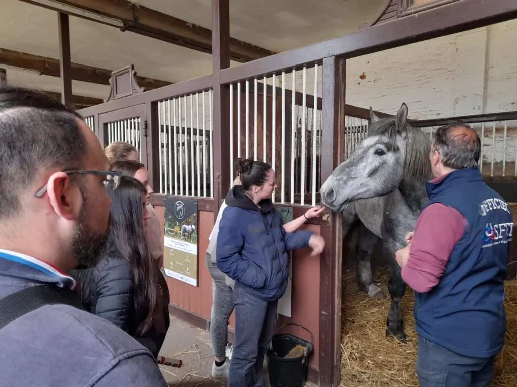 Rencontre avec Geronimo