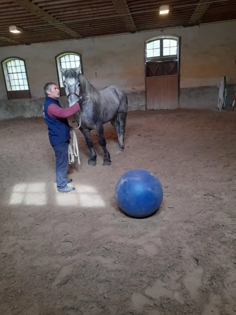 Désensibilisation au ballon