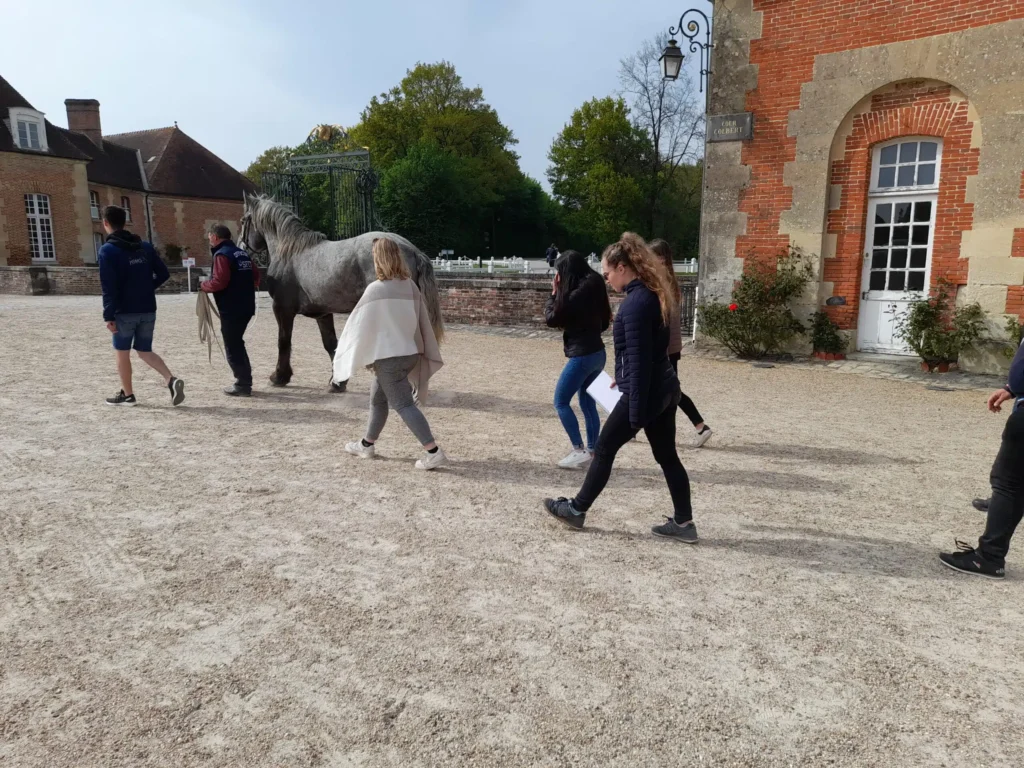 Traversée de la cour d’honneur