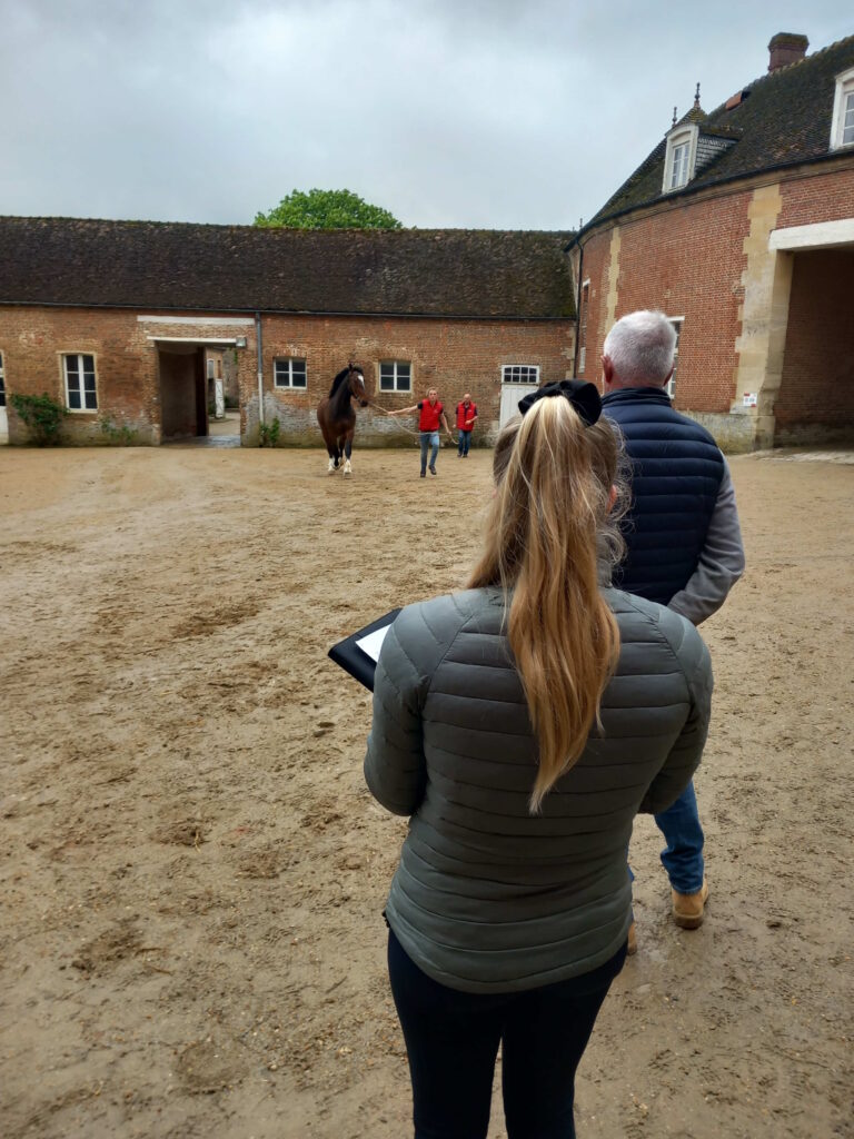 Des chevaux normands pour renforcer la police d’Ille de France 1