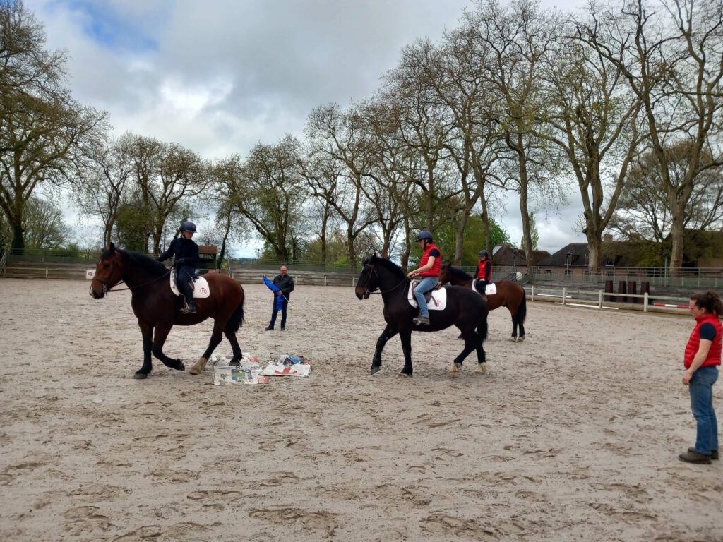 Des chevaux normands pour renforcer la police d’Ille de France 2