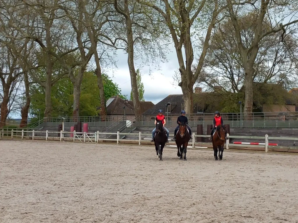 Des chevaux normands pour renforcer la police d’Ille de France 3