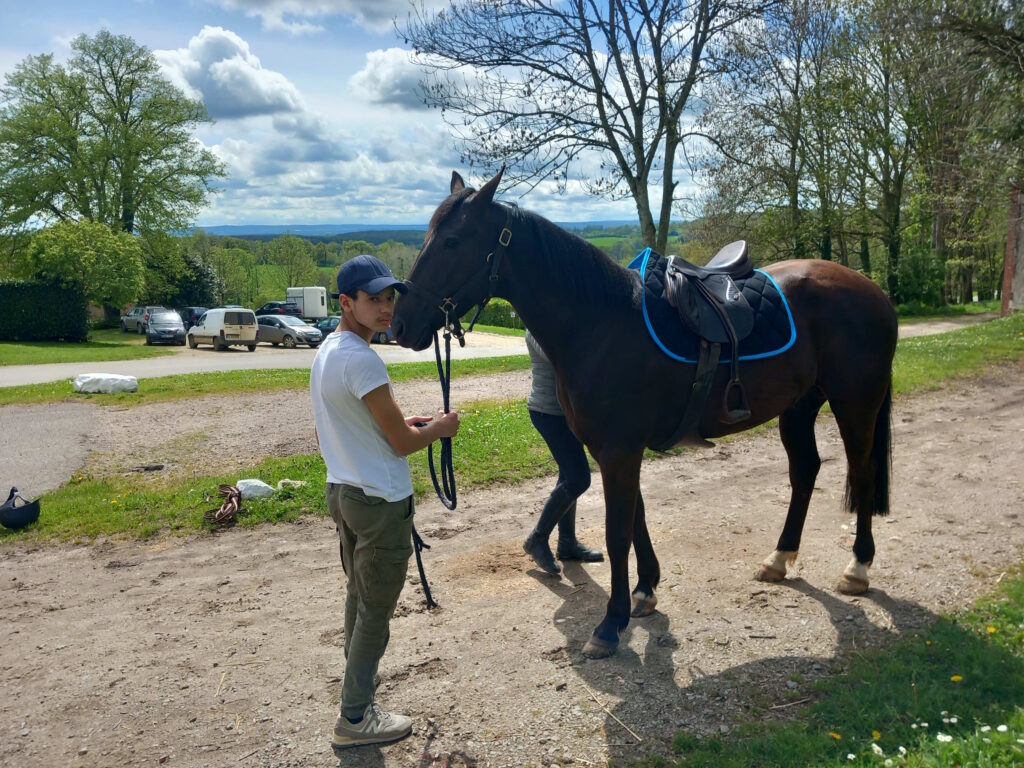 Des chevaux normands pour renforcer la police d’Ille de France 5