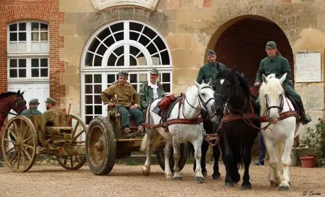 Nos chevaux participent à la présentation du convoi hippomobile allemand