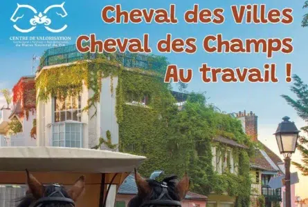 Journée de découverte du cheval de travail, le 30 mai prochain