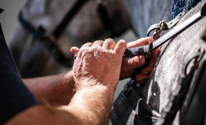 Les méthodes et expertises du centre de valorisation du Haras national du Pin