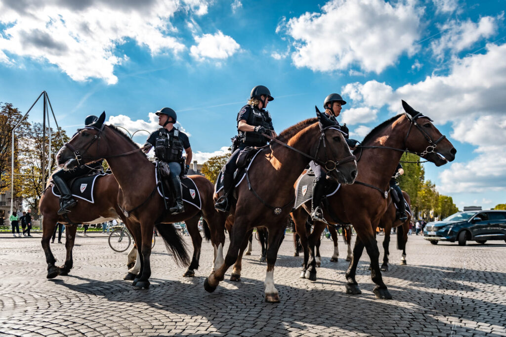 Accompagner l'utilisation de chevaux de trait dans de nouveaux usages