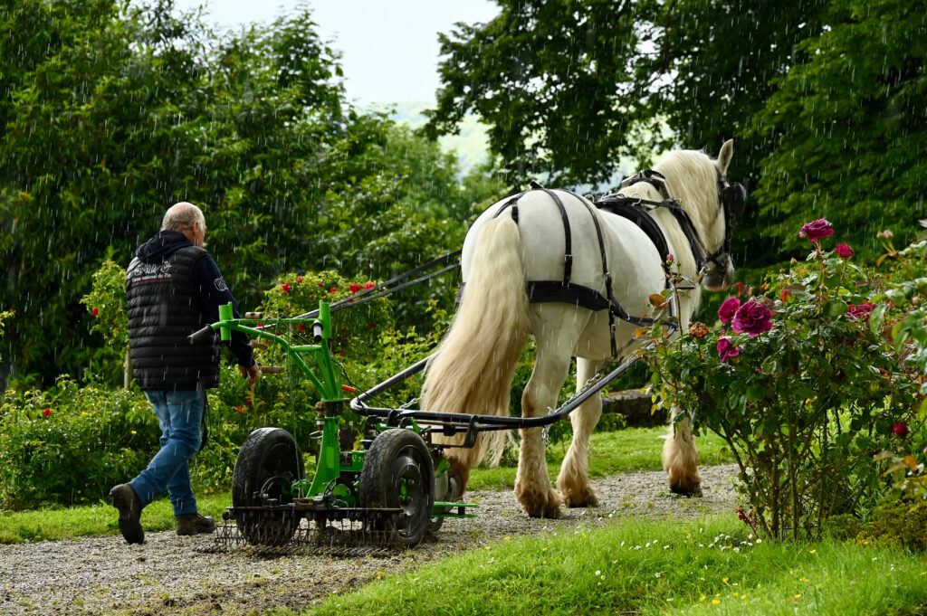 Former des chevaux de qualité adaptés aux nouveaux besoins