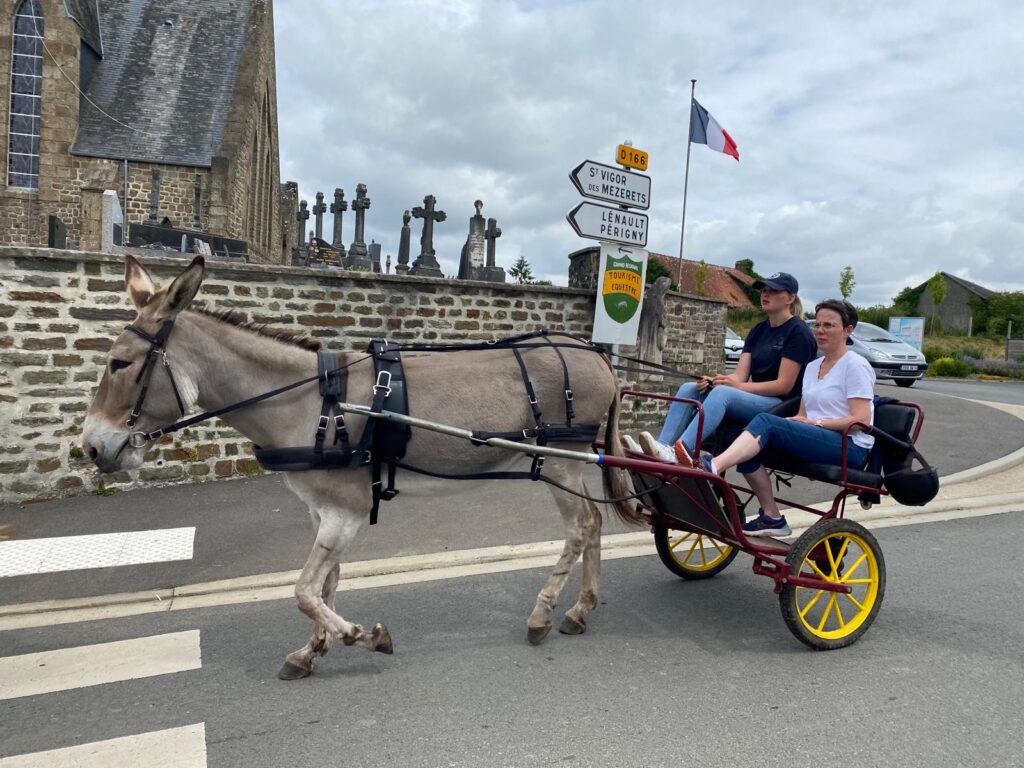 Retour au bercail