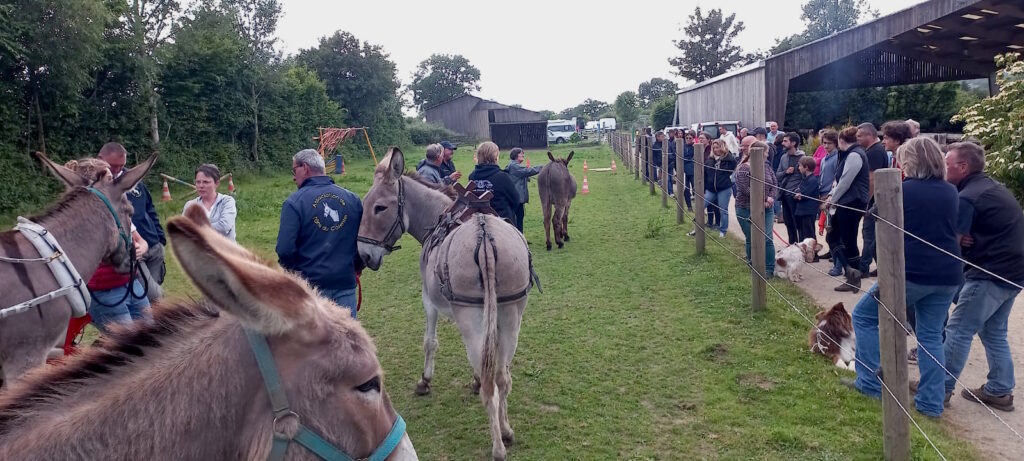 Démonstrations devant les randonneurs