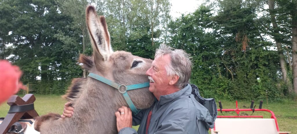 Les ânes sont souvent partants pour les câlins