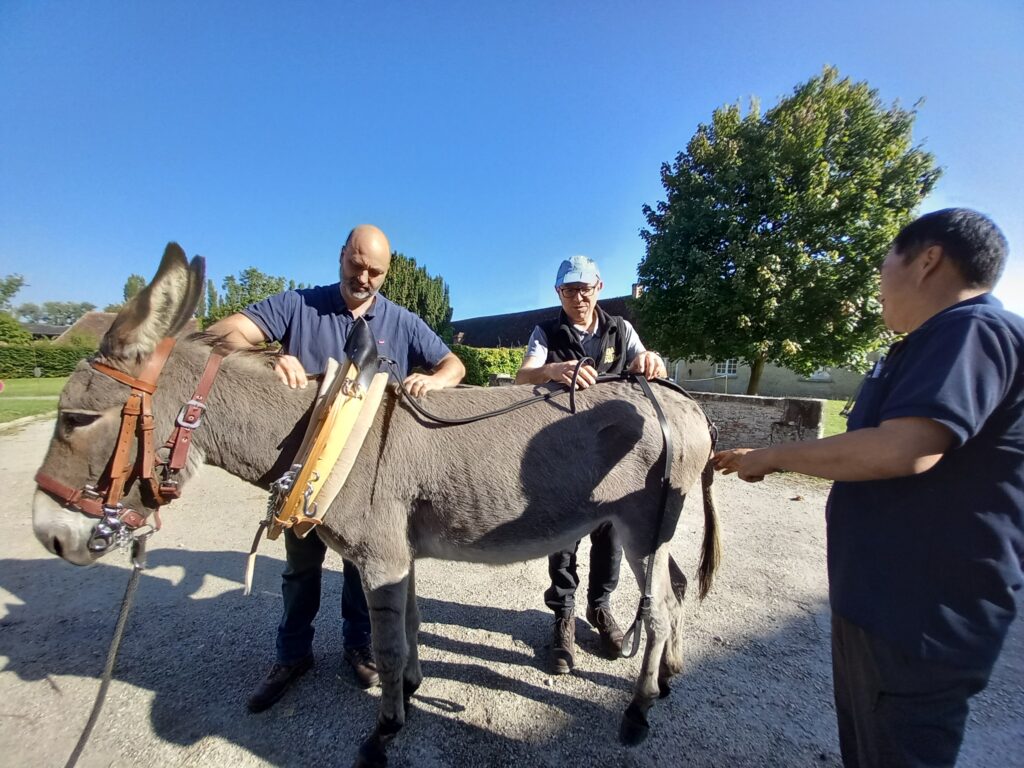 Réglage sur un âne