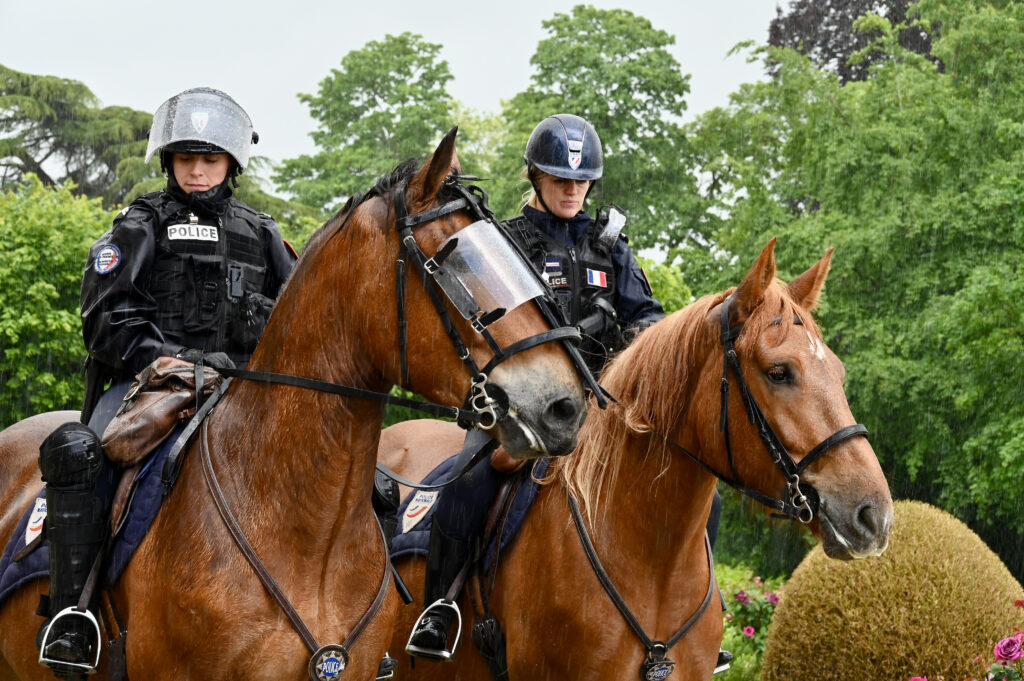 Brigade nationale montée