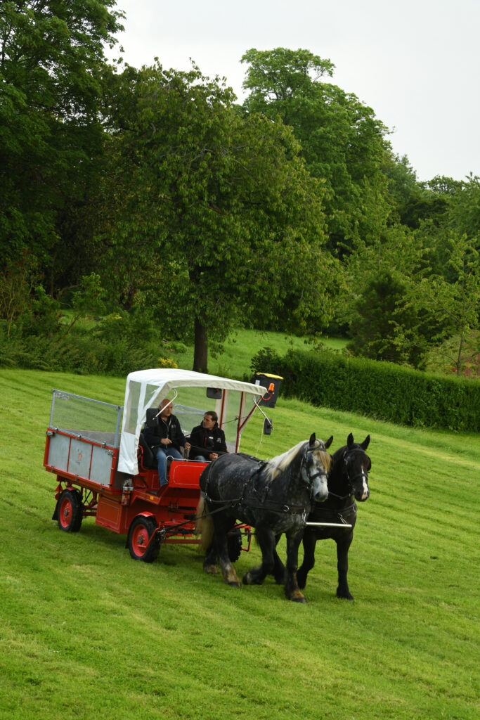 Voiture de Gonfreville l'Orcher