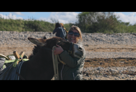 Les races de Normandie en action en Baie des Veys