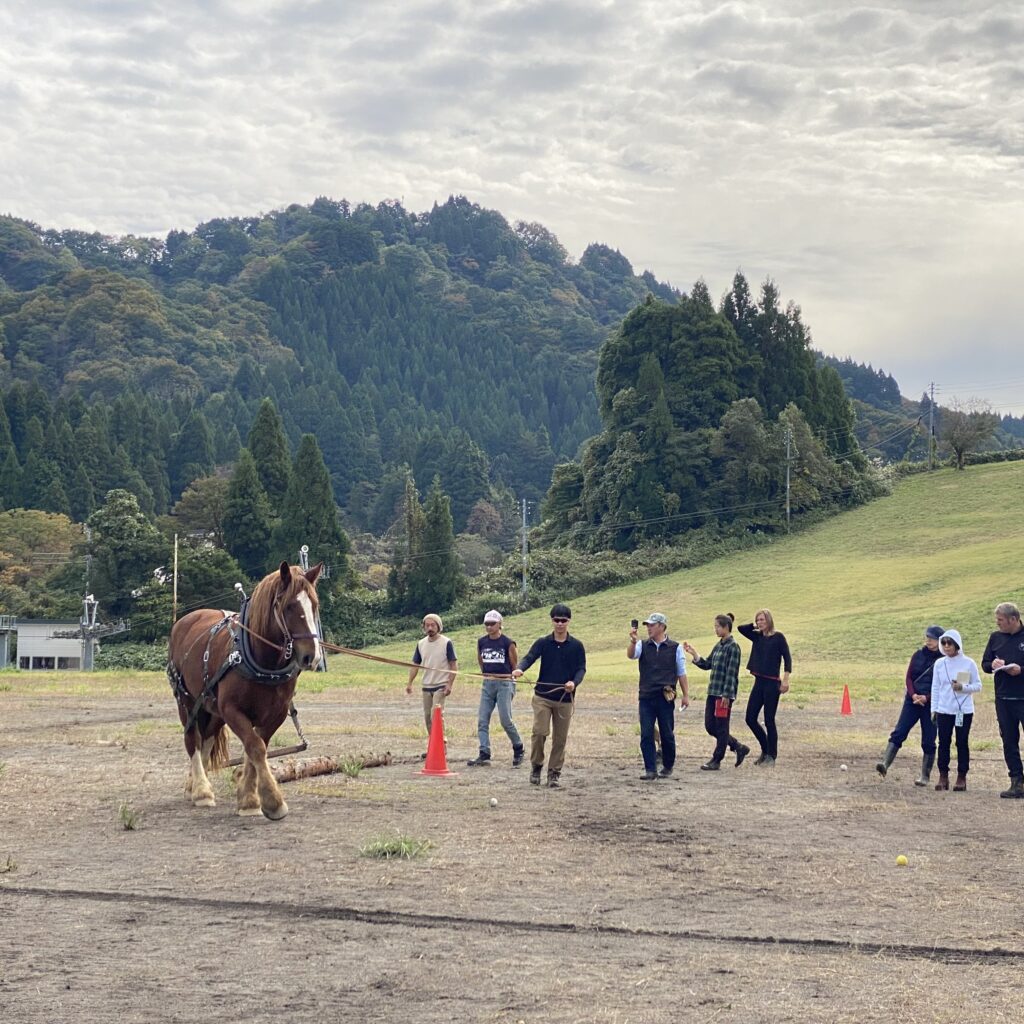 Un écolier japonais accueille les stagiaires d'attelage