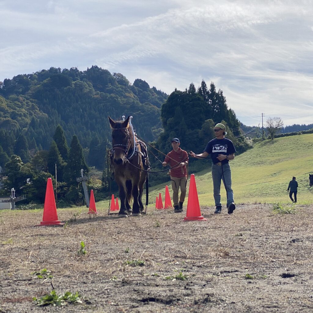 Un écolier japonais accueille les stagiaires d'attelage