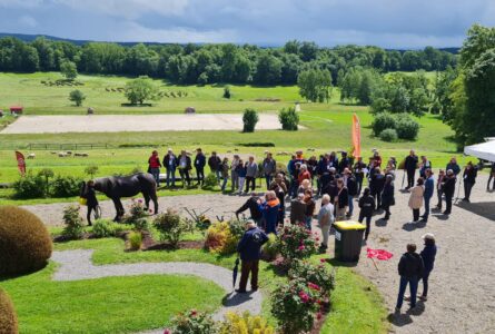 Retour sur la journée « Cheval des Villes, cheval des champs »