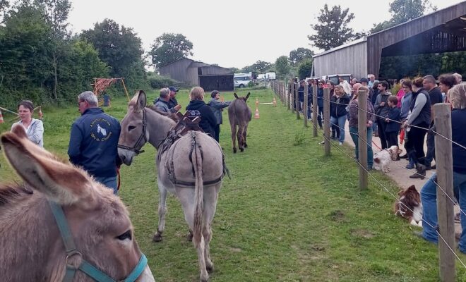 Présentation des ânes de race normande aux randonneurs