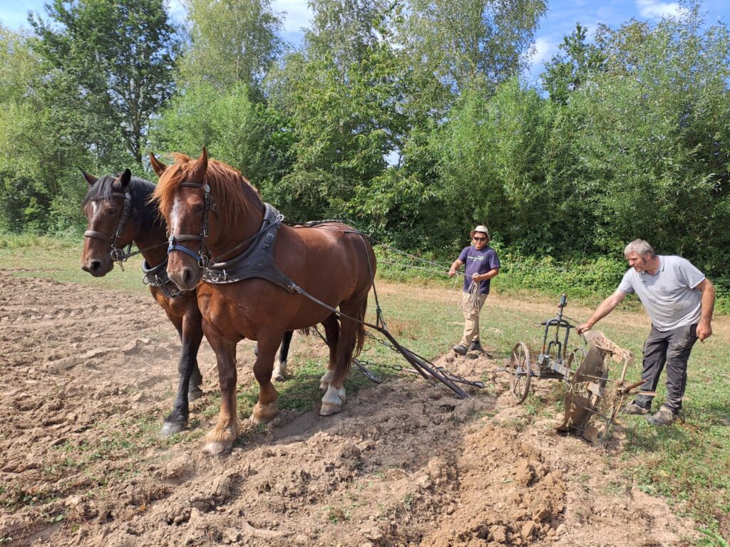 Travail de la terre