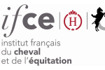 Logo-ifce-2